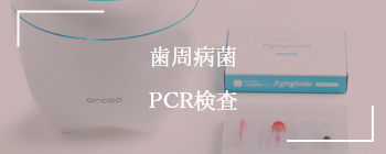 歯周病菌PCR検査